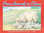 Advanced Animals To Colour Book - Pigs - 1015-SPL2