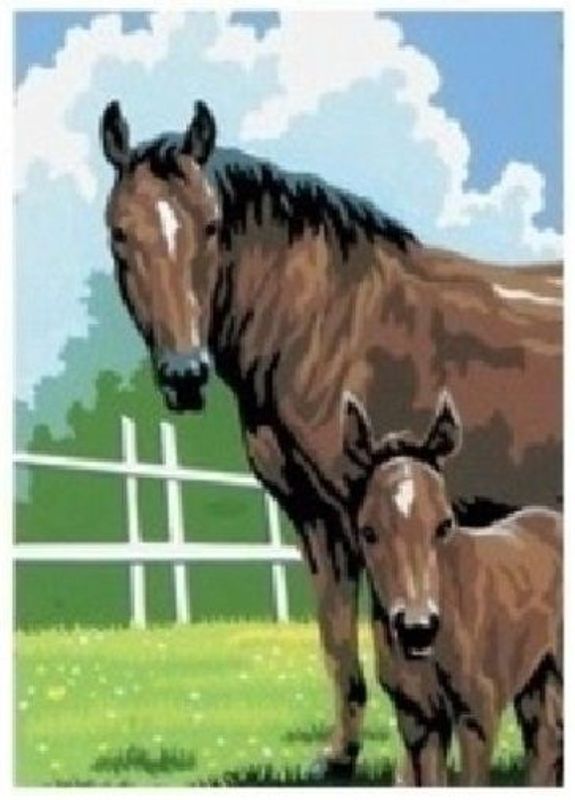 A5 Painting By Numbers Kit - Mare And Foal Pbnmin108