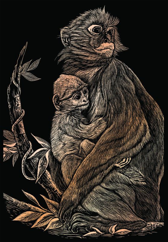 Monkey And Baby Copper Regular Size Engraving Art Scraperfoil