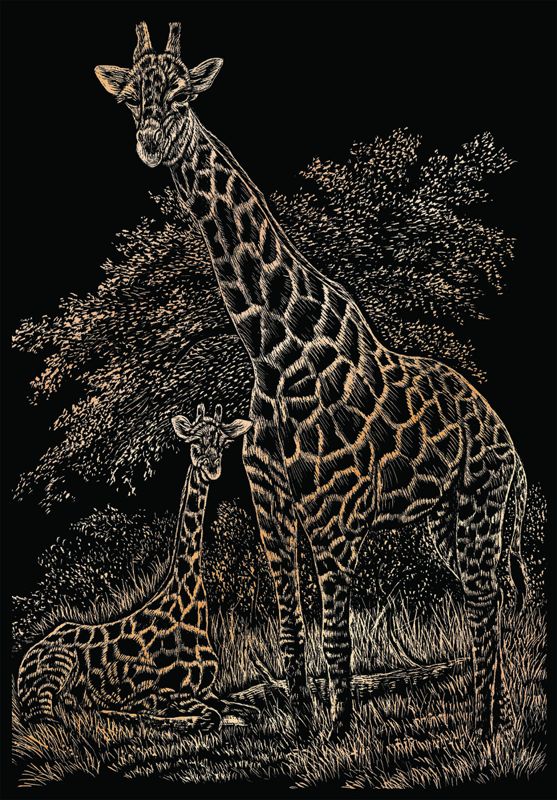Giraffe And Baby Copper Regular Size Engraving Art Scraperfoil