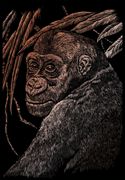 Ape Copper Regular Size Engraving Art Scraperfoil