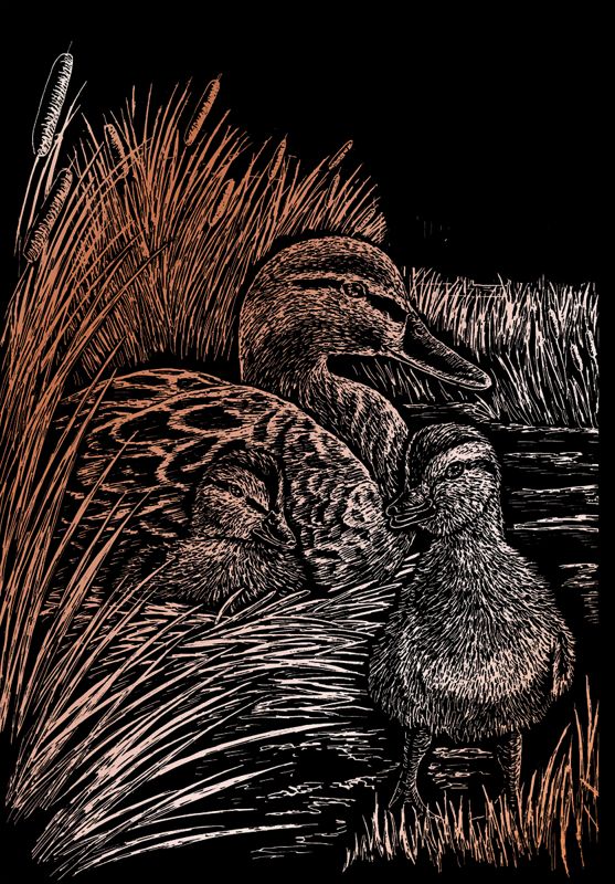 Ducks Copper Regular Size Engraving Art Scraperfoil