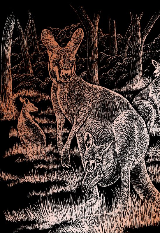 Kangaroo And Baby Copper Regular Size Engraving Art Scraperfoil