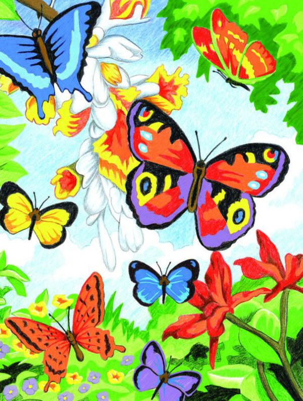 Butterflies And Flowers Colour Pencil By Numbers Kit Regular Size