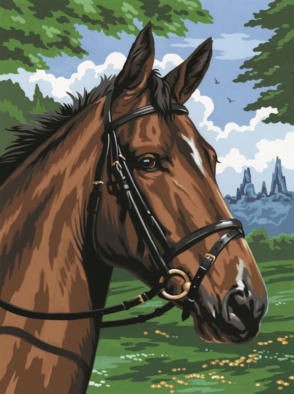 A4 Painting By Numbers Kit - Thoroughbred Horse PCS8
