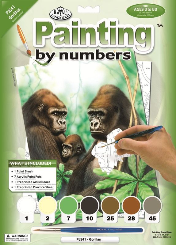 A4 Painting By Numbers Kit - Gorillas Pjs41