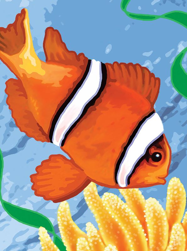 A4 Clown Fish Acrylic Paint By Numbers Kit Pjs56