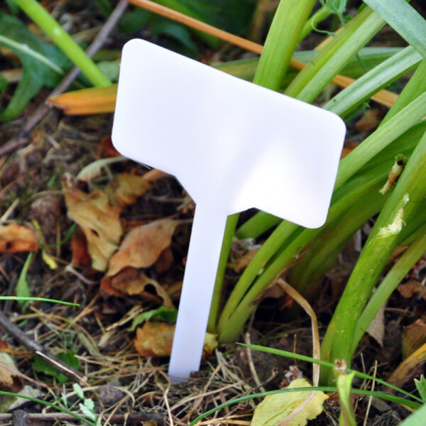Pack Of Ten Plant Markers