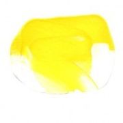 Scola Vibrant Yellow Poster Paint AM600/20/A-SPL3