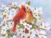 Cardinals Pencil By Numbers Art Kit A4