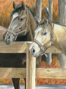 Two Bucks Pencil By Numbers Art Kit A4