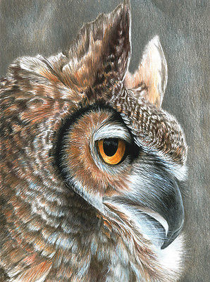 Sepia Owl Pencil By Numbers Art Kit A4