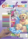 Puppies and Kittens Wash Day Colour Pencil by Numbers Kit Regular Size
