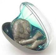 Mini Space Alien Egg With Alien Embryo In Goo - N14 018
