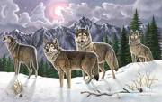 Large Painting By Numbers Kit - Wolves Snow Scene