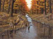 A3 Painting By Numbers Kit - Deer And Stag At Symonds Creek Pal23