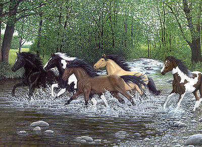 A3 Painting By Numbers Kit - Free Spirits Wild Horses Pal26