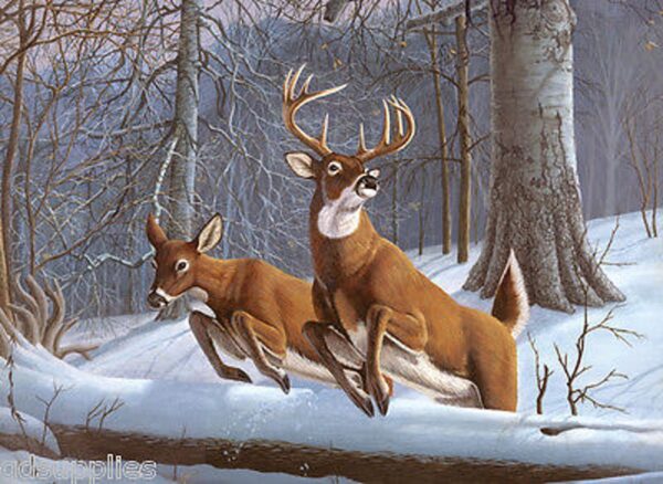 A3 Large Acrylic Paint By Numbers Kit - White Tail Deers In Wood PAL34