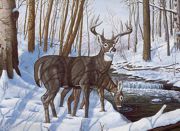 A3 Painting By Numbers Artist Kit - Winter Bliss Deer Pal43