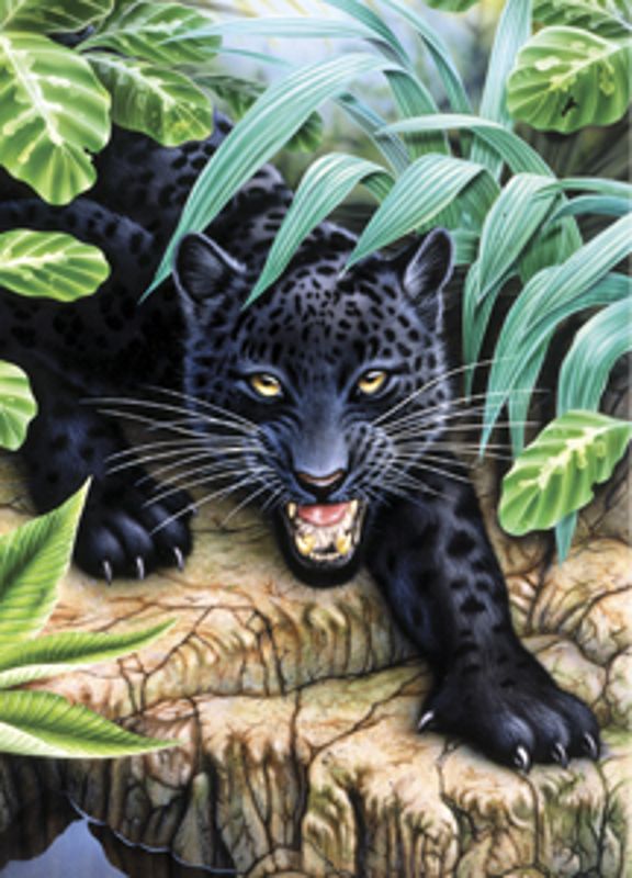 A5 Mini Painting By Numbers Kit - Black Leopard Pbnmin112