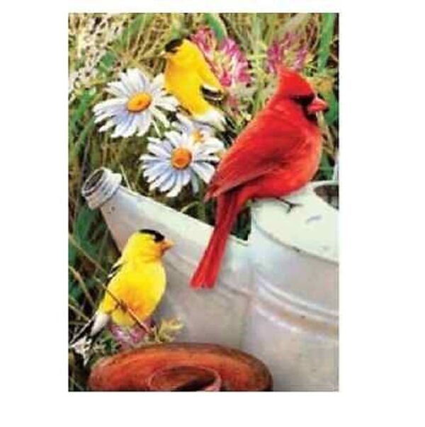 A5 Painting By Numbers Kit - Mini Garden Birds Pbnmin-114