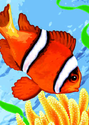 A5 Painting By Numbers Kit - Clown Fish Pbnmin115