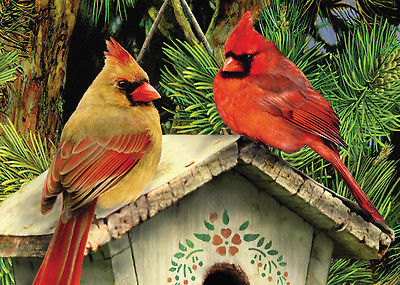A5 Paint By Numbers Kit - Mini Cardinals Pbnmin-118