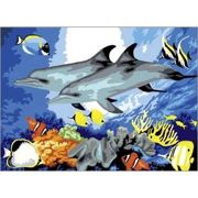 A3 Large Painting By Numbers Kit - Dolphins Pjl10