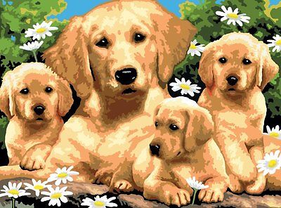 Large Painting By Numbers Kit - Golden Retriever And Puppies PJL12