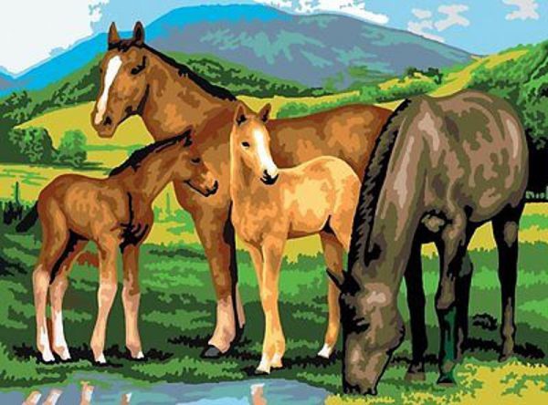 A3 Painting By Numbers Kit - Horses And Foals Pjl13