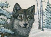 A3 Painting By Numbers Kit - Snow Wolf Pjl29
