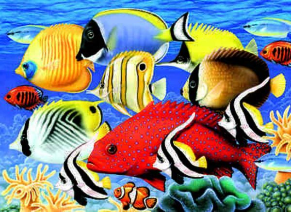 A3 Painting By Numbers Kit - Tropical Fish Pjl30