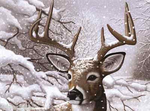 A3 Painting By Numbers Kit - Dancing Snow Deer Pjl35