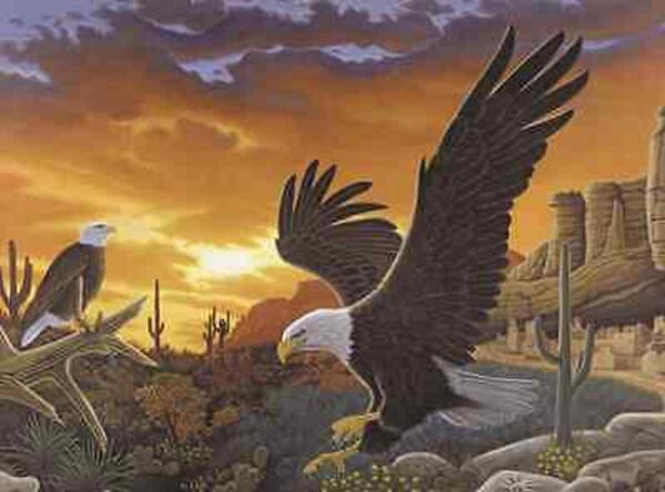 A3 Painting By Numbers Kit - Sky Messenger Eagle Pjl40