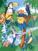 A4 Painting By Numbers Kit - Tropical Birds Pjs15