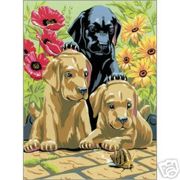 A4 Painting By Numbers Kit - Labrador Puppies Pjs30