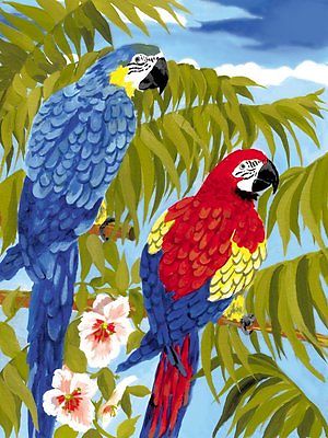 A4 Painting By Numbers Kit - Parrots Pjs35