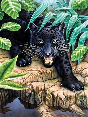 A4 Painting By Numbers Kit - Black Leopard Pjs42