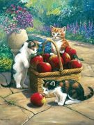 A4 Painting By Numbers Kit - Bumper Crop Kittens Pjs48