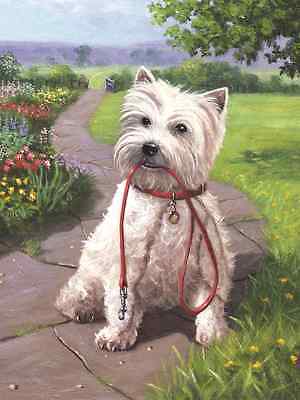 Painting By Numbers Kit Regular - Time For A Walk PJS49