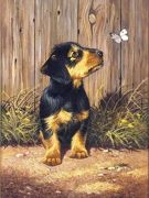 Painting By Numbers Kit Regular - Dachshund Puppy Pjs51