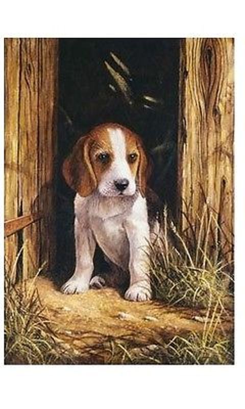 A4 Painting By Number Kit - Beagle Puppy Pjs58