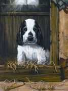 A4 Painting By Numbers Kit - Spaniel Puppy PJS67