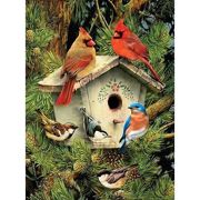 A4 Paint By Numbers Kit - Native Neighbours Birds Pjs70