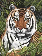 Tiger In Hiding A4 Painting By Numbers PJS75