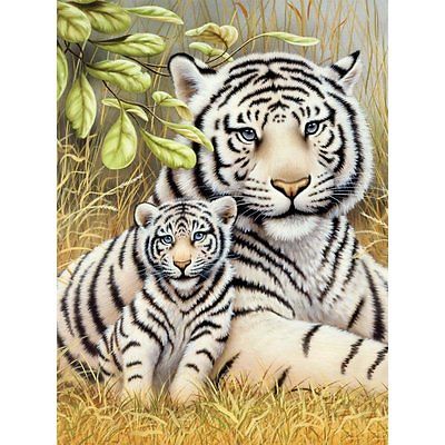 A4 Painting By Numbers Kit - White Tiger Pair Pjs76