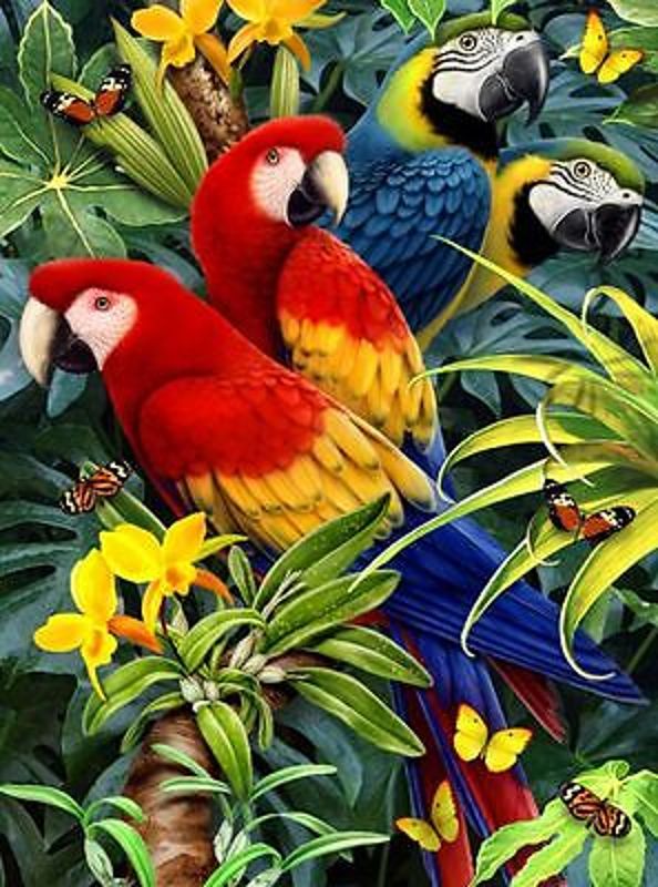 A4 Painting By Numbers Kit - Majestic Macaws And Butterflies Pjs83