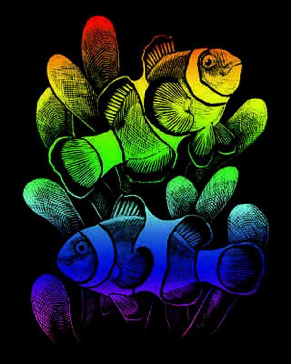 A4 Rainbow Engraving Art Scraper Craft Foil Kit - Clownfish