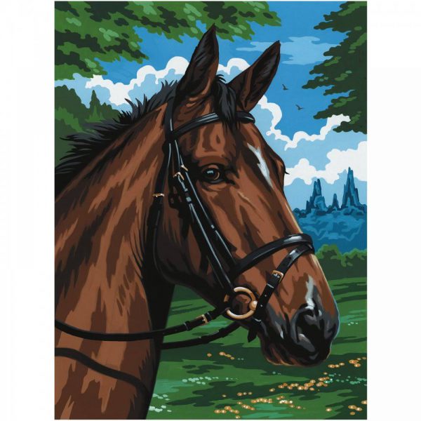 A4 Painting By Numbers Kit - Thoroughbred Horse PCS8