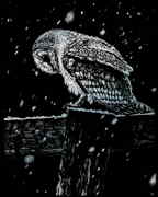 Snowfall At Night Owl Silver Foil Engraving Art Set Silf41